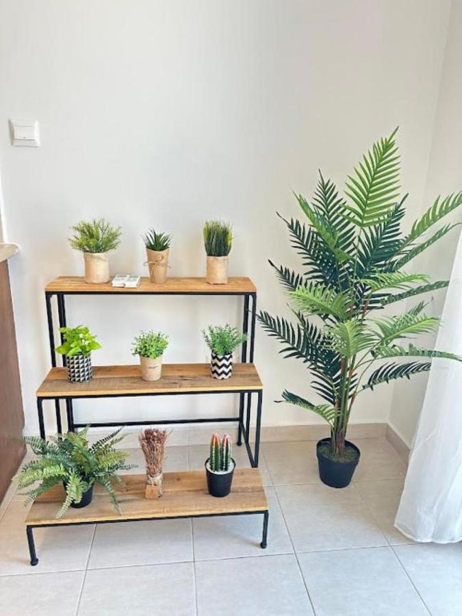 H&O Alina Sunset Apartment 파포스 외부 사진
